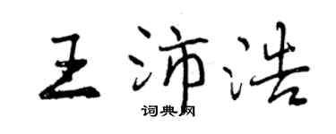 曾慶福王沛浩行書個性簽名怎么寫