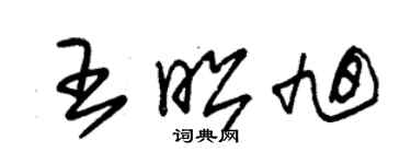 朱錫榮王昭旭草書個性簽名怎么寫