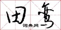 田鸞怎么寫好看