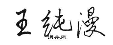駱恆光王純漫行書個性簽名怎么寫