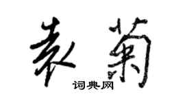 王正良袁菊行書個性簽名怎么寫