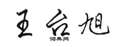 駱恆光王台旭行書個性簽名怎么寫