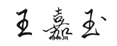 駱恆光王嘉玉行書個性簽名怎么寫