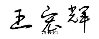 曾慶福王宏輝草書個性簽名怎么寫