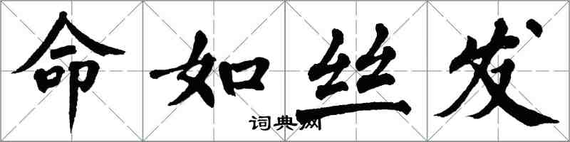 翁闓運命如絲髮楷書怎么寫