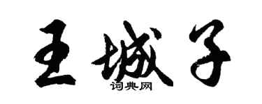 胡問遂王城子行書個性簽名怎么寫