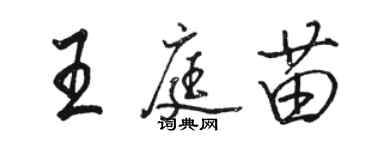 駱恆光王庭苗行書個性簽名怎么寫
