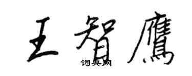 王正良王智鷹行書個性簽名怎么寫