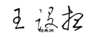 駱恆光王構想草書個性簽名怎么寫