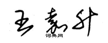 朱錫榮王嘉升草書個性簽名怎么寫