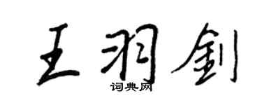 王正良王羽劍行書個性簽名怎么寫