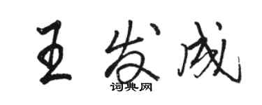 駱恆光王發成行書個性簽名怎么寫