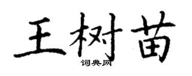 丁謙王樹苗楷書個性簽名怎么寫