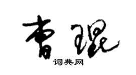 朱錫榮曹琨草書個性簽名怎么寫