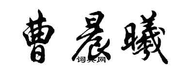 胡問遂曹晨曦行書個性簽名怎么寫