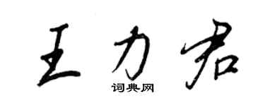 王正良王力君行書個性簽名怎么寫