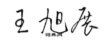 駱恆光王旭展草書個性簽名怎么寫