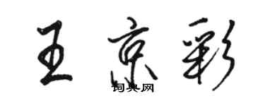 駱恆光王京彩行書個性簽名怎么寫