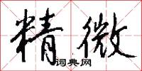 精微怎么寫好看