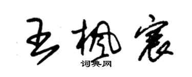 朱錫榮王楓宸草書個性簽名怎么寫