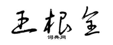 曾慶福王根全草書個性簽名怎么寫