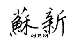 王正良蘇新行書個性簽名怎么寫