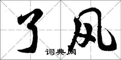 胡問遂了風行書怎么寫