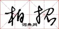 王冬齡柏招草書怎么寫