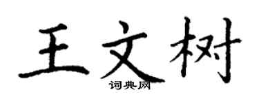丁謙王文樹楷書個性簽名怎么寫