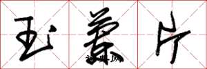 朱錫榮玉蘭片草書怎么寫