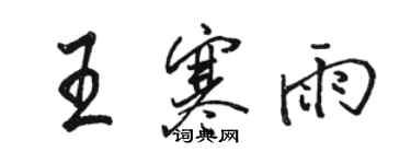 駱恆光王寒雨行書個性簽名怎么寫