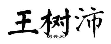 翁闓運王樹沛楷書個性簽名怎么寫
