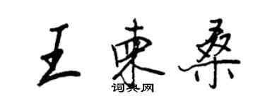 王正良王柬桑行書個性簽名怎么寫