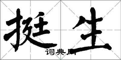 翁闓運挺生楷書怎么寫