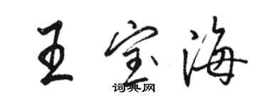 駱恆光王寶海行書個性簽名怎么寫