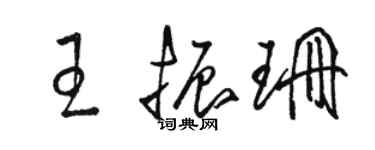 駱恆光王振珊草書個性簽名怎么寫