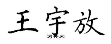丁謙王宇放楷書個性簽名怎么寫
