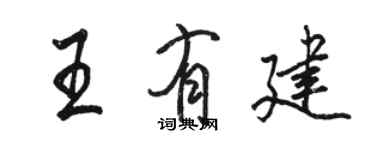 駱恆光王有建行書個性簽名怎么寫