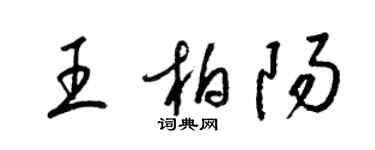 梁錦英王柏陽草書個性簽名怎么寫