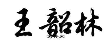 胡問遂王韶林行書個性簽名怎么寫