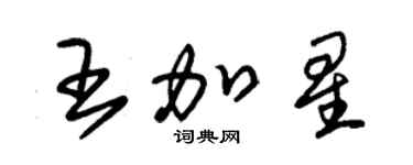朱錫榮王加星草書個性簽名怎么寫