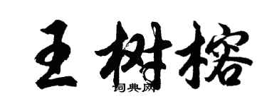 胡問遂王樹榕行書個性簽名怎么寫