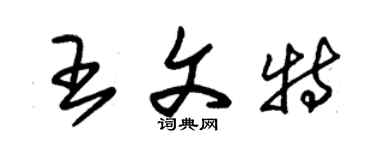 朱錫榮王文特草書個性簽名怎么寫