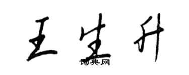 王正良王生升行書個性簽名怎么寫
