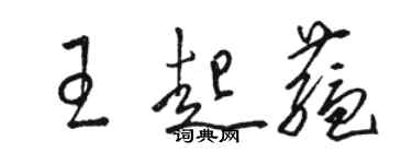 駱恆光王起蘊草書個性簽名怎么寫