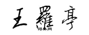 王正良王羅亭行書個性簽名怎么寫