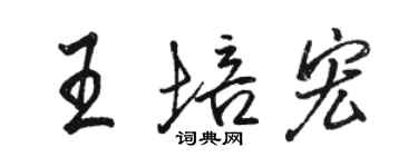 駱恆光王培宏行書個性簽名怎么寫