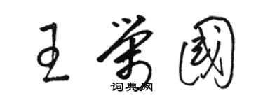 駱恆光王榮國草書個性簽名怎么寫