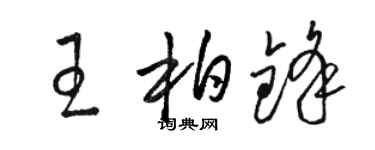 駱恆光王柏鋒草書個性簽名怎么寫
