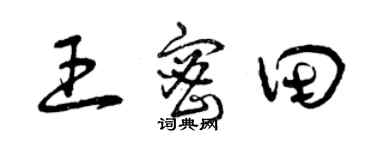 曾慶福王密田草書個性簽名怎么寫